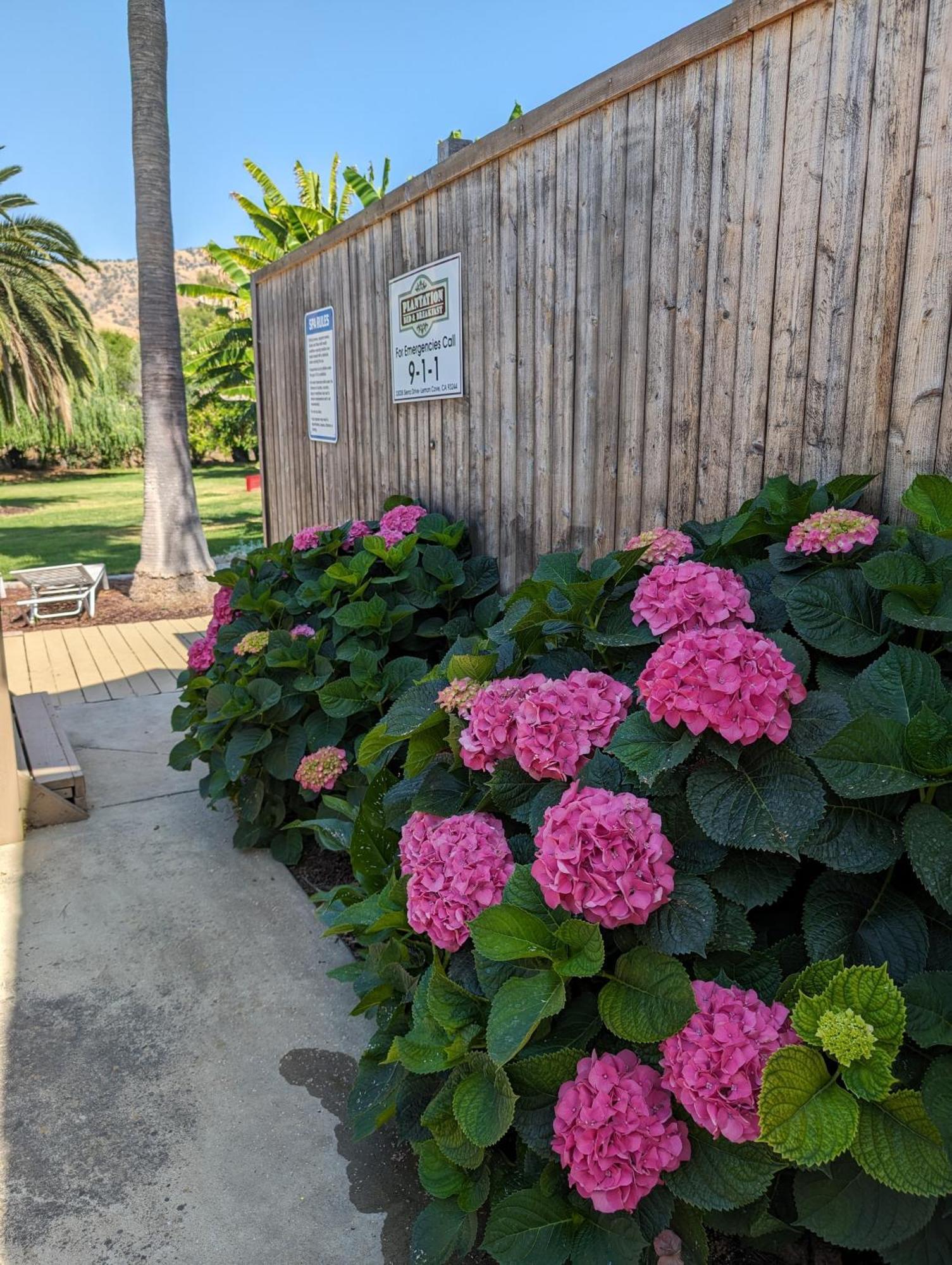 The Parks Inn Lemon Cove Экстерьер фото